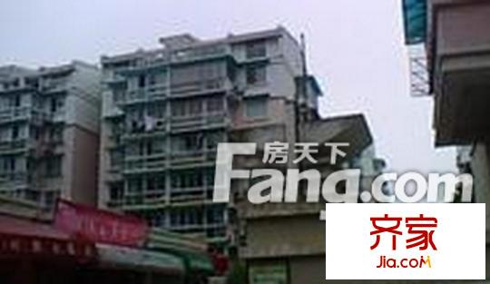 白云牡丹外景圖12