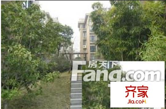 白云牡丹外景圖7