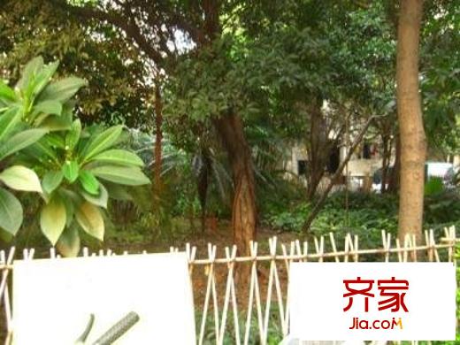 中曦大厦外景图