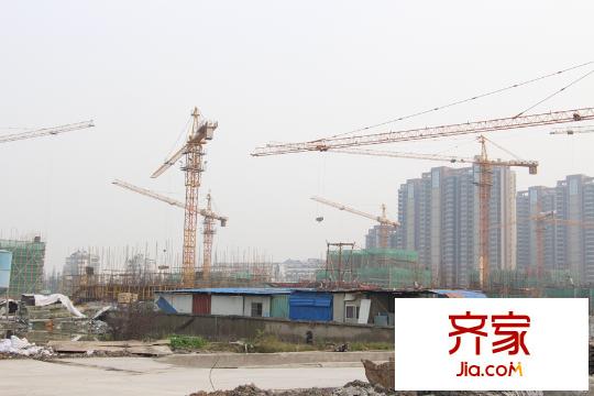 金地悅江來工地塔吊（2015.11.3）