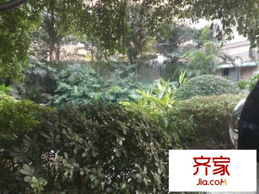 康丽居外景图