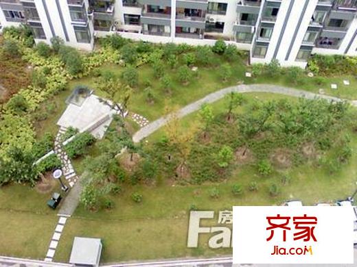 都市森林二期外景圖 
