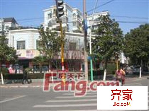 龍成翠柏花園外景圖龍柏花園 7