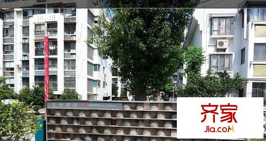 文苑風(fēng)荷外景圖11