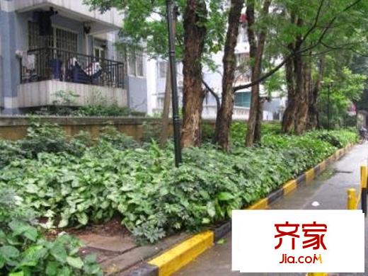 昌岗小区外景图