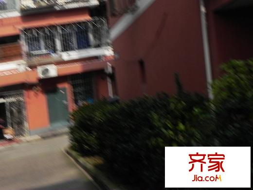 鳳凰新村外景圖 