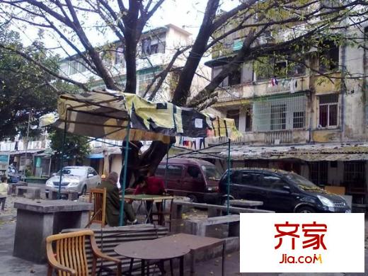 金建苑外景图