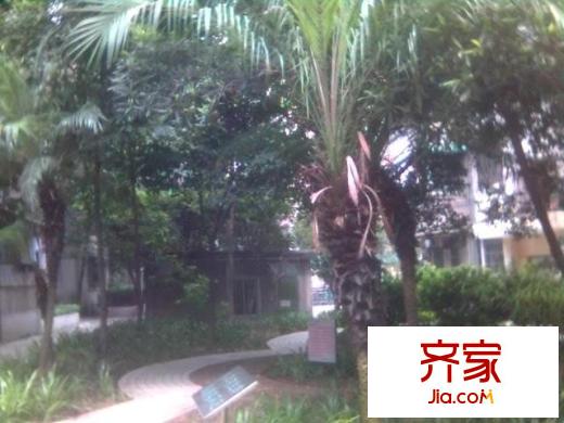广州雅居乐花园邻居外景图