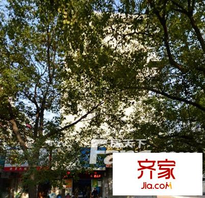 南苑小區(qū)外景圖10