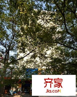南苑小區(qū)外景圖9