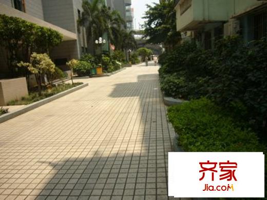 东雅轩外景图外景