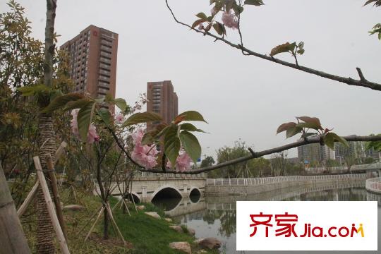 萬科城東面綠軸體育公園