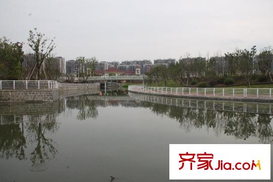 萬科城東面綠軸體育公園