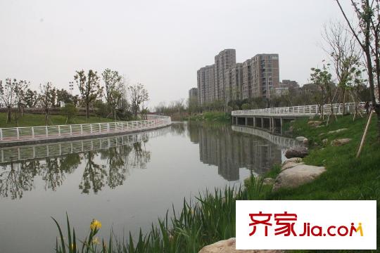 萬科城東面綠軸體育公園