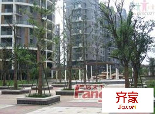 九五花園外景圖4