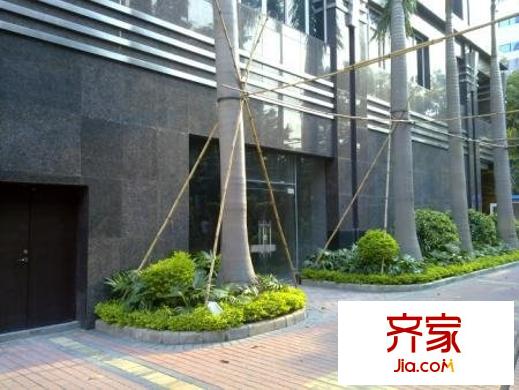 文星阁外景图