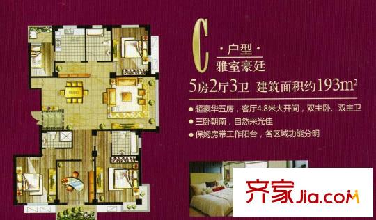 南都花城戶型圖戶型圖C 5室2廳3衛(wèi)1廚