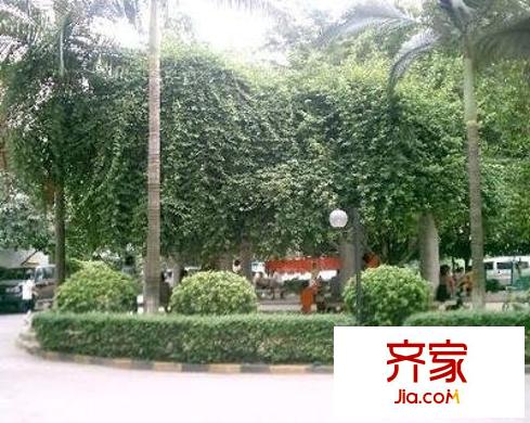 华怡花园外景图