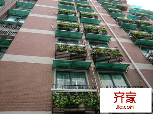 体育西横街小区外景图