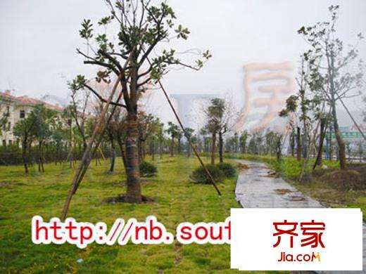紫汀花園別墅外景圖 