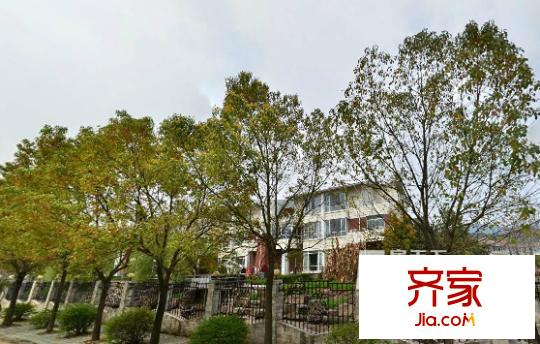 武嶺盛世外景圖 