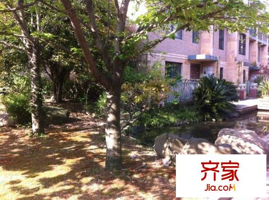 紫郡花園別墅外景圖 