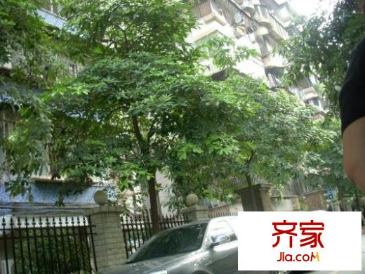 中山三院宿舍外景图楼外景