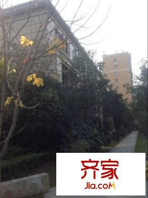 都市森林別墅外景圖 