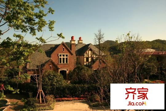 開(kāi)元九龍湖畔單棟實(shí)景（2010-07-06）