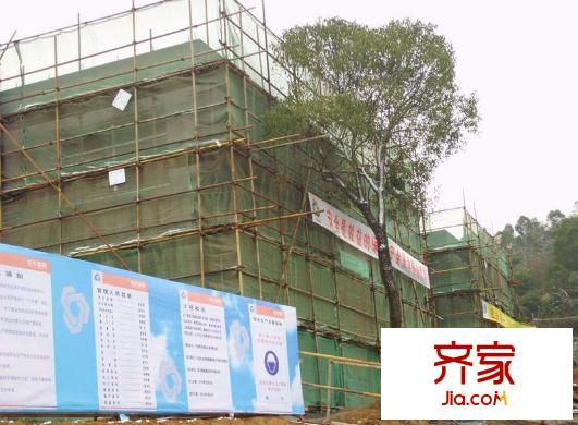 陽(yáng)光海灣辦公現(xiàn)場(chǎng)實(shí)景（2011年2月15日）