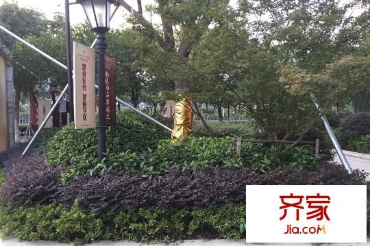 鉑悅府綠化（2015-9-13）