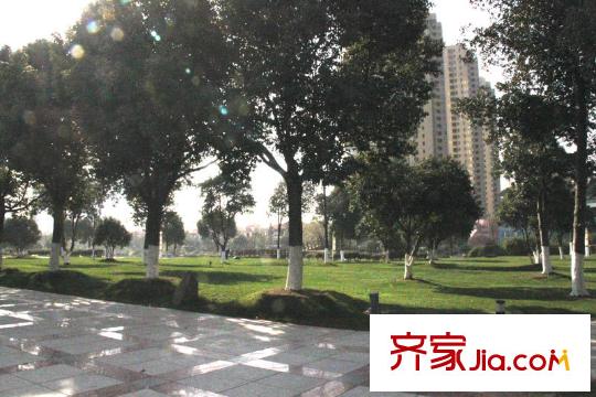 江南一品配套圖東面公園