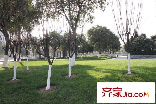 江南一品配套圖東面公園