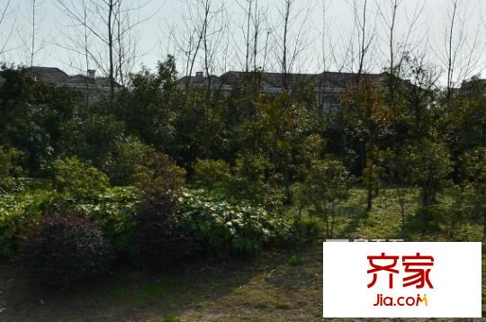 雅戈爾香頌灣別墅外景圖 