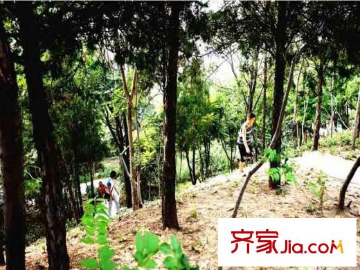 海泰海港花園周邊鄰近的公園