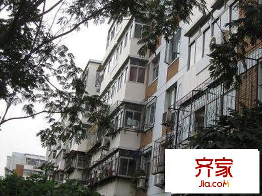 金杰里
