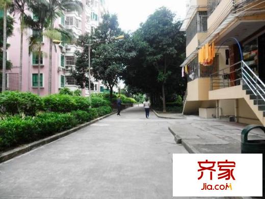 紫林居外景图