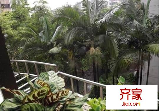 水荫直街小区外景图
