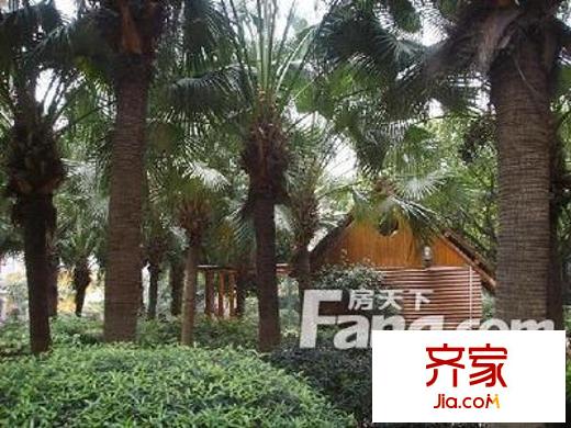 金雅苑五期外景图