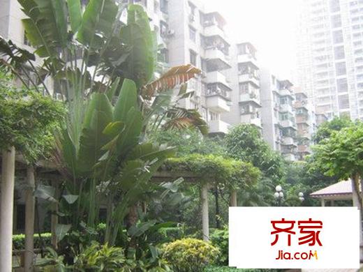 君紫花园外景图