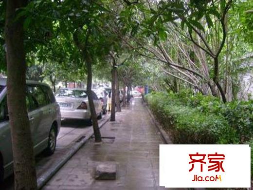 君紫花园外景图小区花园