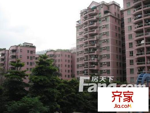 中信乐涛苑外景图