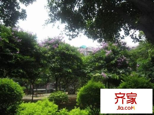天一新村外景图