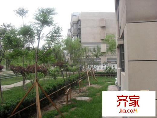 首創(chuàng)國際城外景圖