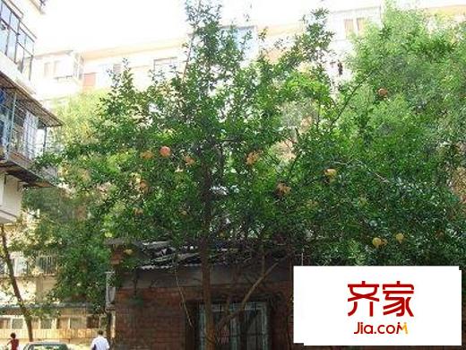 蘇堤?hào)|里外景圖