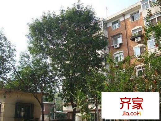 三潭西里外景圖