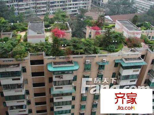 福金莲花园外景图