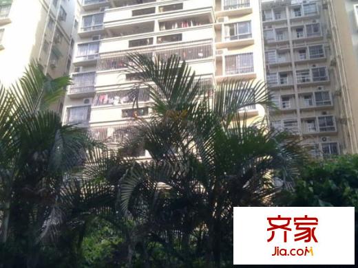 侨英花园外景图