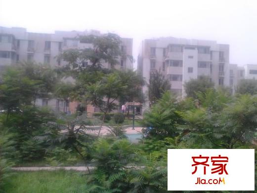 天保星緣軒外景圖