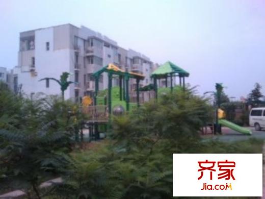 天保星緣軒